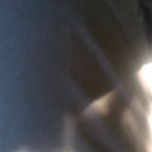 Meet your Posher, Quilla